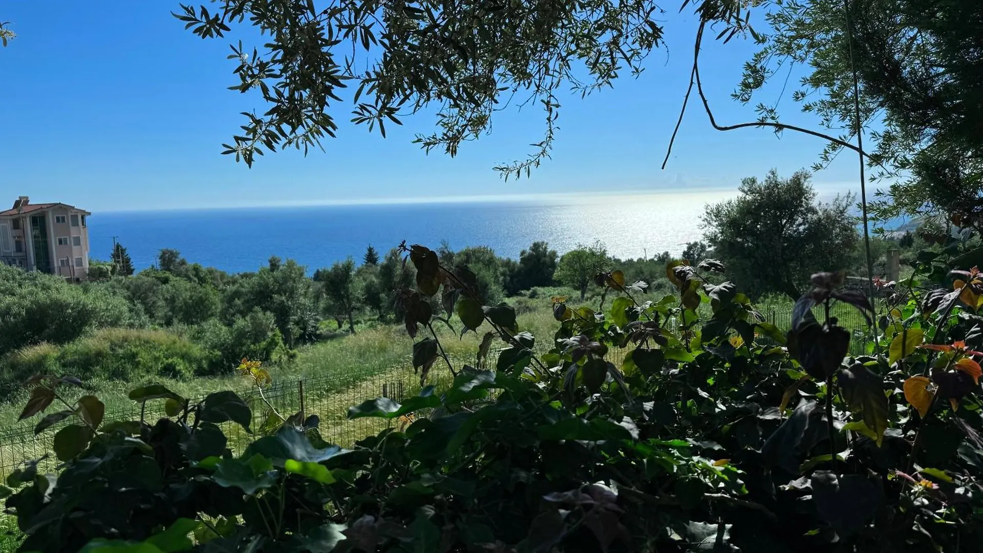 Newly Renovated Apartment Olive Dhërmi 0*,  Albania